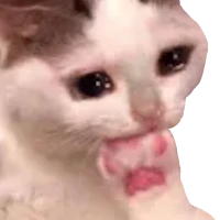 Memes Stickers for WASticker