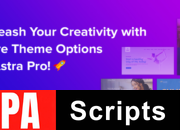 Astra Pro Addon v4.7.1 – Perfect Theme For Any Website