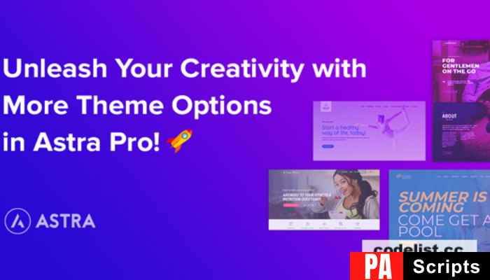 Astra Pro Addon v4.7.1 – Perfect Theme For Any Website