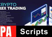 Forex Trading & Investment Addon For Bicrypto v4.0.2